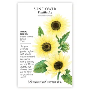 Sunflower Vanilla Ice Seed Pack