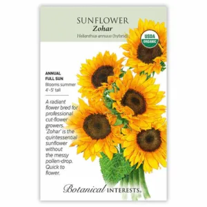 Sunflower Zohar Organic Seed Pack