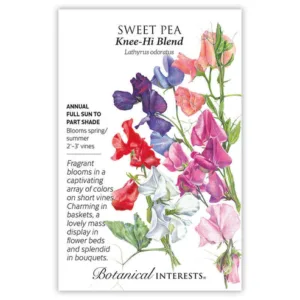 Sweet Pea Knee-Hi Blend Seed Pack