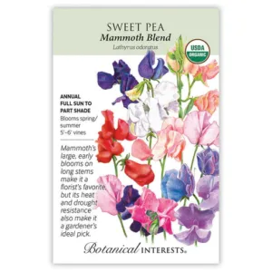 Sweet Pea Mammoth Blend Organic Seed Pack