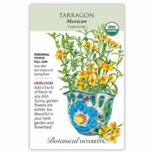 Tarragon Mexican Organic Seed Pack