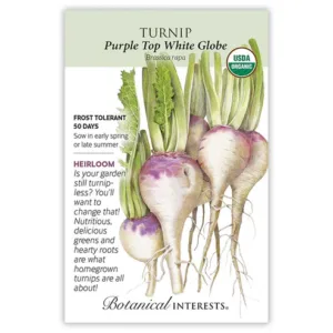Turnip Purple Top White Globe Organic Seed Pack