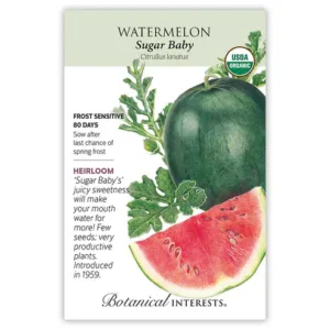 Watermelon Sugar Baby Organic Seed Pack