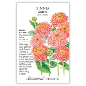 Zinnia Senora Seed Pack