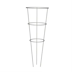 Galvanized Tomato Cage