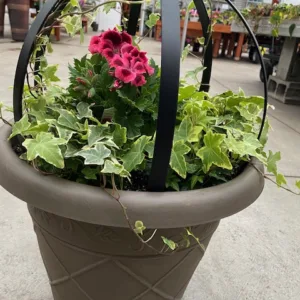 English Garden Patio Pot Planting Class