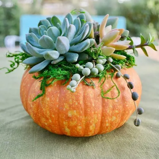 Pumpkin Centerpiece Creation Class - Image 2