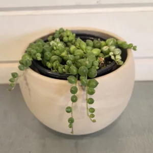 String of Marbles